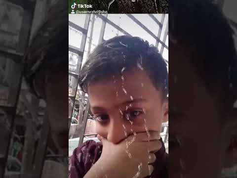 Adib Tiktok