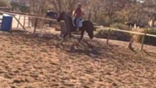 sam and me_0001.wmv