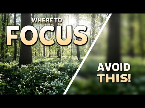 How to FOCUS in Landscape Photography - Get SHARP Photos