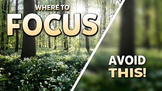 How to FOCUS in Landscape Photography  Get SHARP Photos