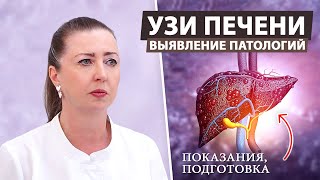 Обнаружение заболеваний печени через УЗИ