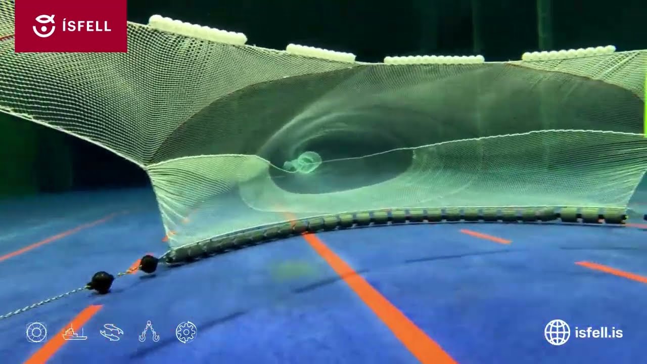 Ísfell Gulltoppur 66 with Stingray-Flow groundgear and bridle