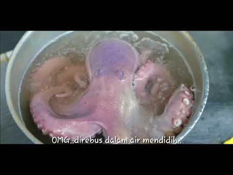 Makanan Jepang Gurita Hidup