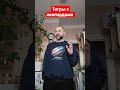 Тигры с леопардами