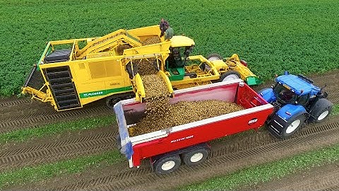 Potato Harvest | PLOEGER AR-4BX + Fendt & New Holland | Demijba / Van Peperstraten