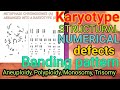 Karyotype,karyotype Analysis, structural & Numerical Differences, Aneuploidy ,Polyploidy,banding pat