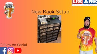 Brand New Ball Python Hatchling Rack Set Up