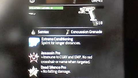 Good Ideas For a DOMINATION and STEALTH class [MW3]