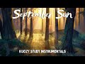 📚Calm Instrumental Music For Studying: Indie Acoustic Playlist Vol.12