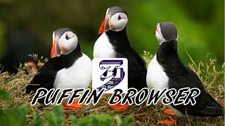 Review of Puffin Browser for Live Streaming Websites (Java Sites)