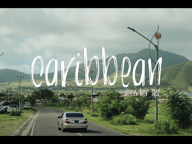 Felisha's Travel Diaries