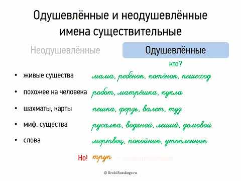 Одушевлённые и неодушевлённые имена существительные (6 класс, видеоурок-презентация)