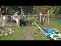 Rückruftraining mit Pfeife vom Welpenalter bis zum zweijährigen Flat