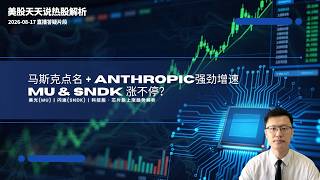 马斯克点名+Anthropic强劲增速 美光(MU)闪迪(SNDK)涨不停？(美股天天说直播片段20260817)