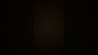 IMG 4200