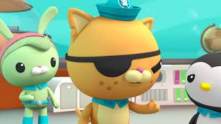 Октонавти і кити білухи — пізнавальне відео