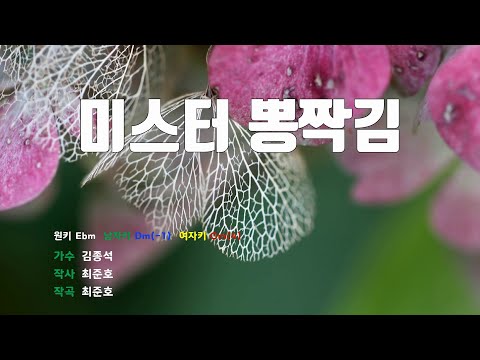 [은성 반주기] 미스터뽕짝김 - 김종석