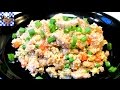 Chicken Fried Rice (Low Carb Recipe)