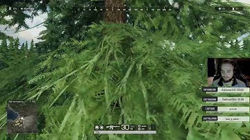 [HOW TO] Stand in trees. Ring of Elysium