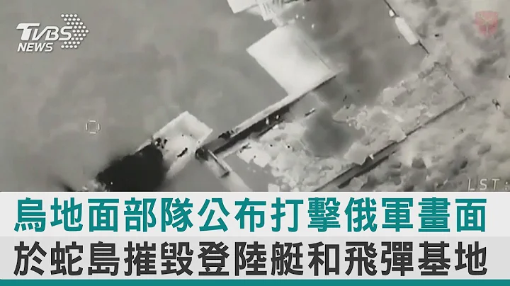 乌克兰地面部队公布打击俄军画面 于蛇岛摧毁登陆艇和飞弹基地【图文说新闻】 - 天天要闻