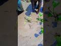 Fishing video