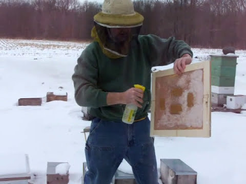 Beekeeping: Candy Boards On Beehives