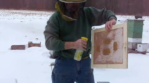 Beekeeping: Candy Boards On Beehives