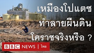 เหมืองแร่โปแตชที่ "เศรษฐา" ต้องการ ทำลายผืนดินโคราชจริงหรือ ? - BBC News ไทย