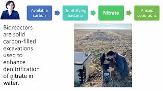 Module 10, Video 1: Bioreactor Introduction