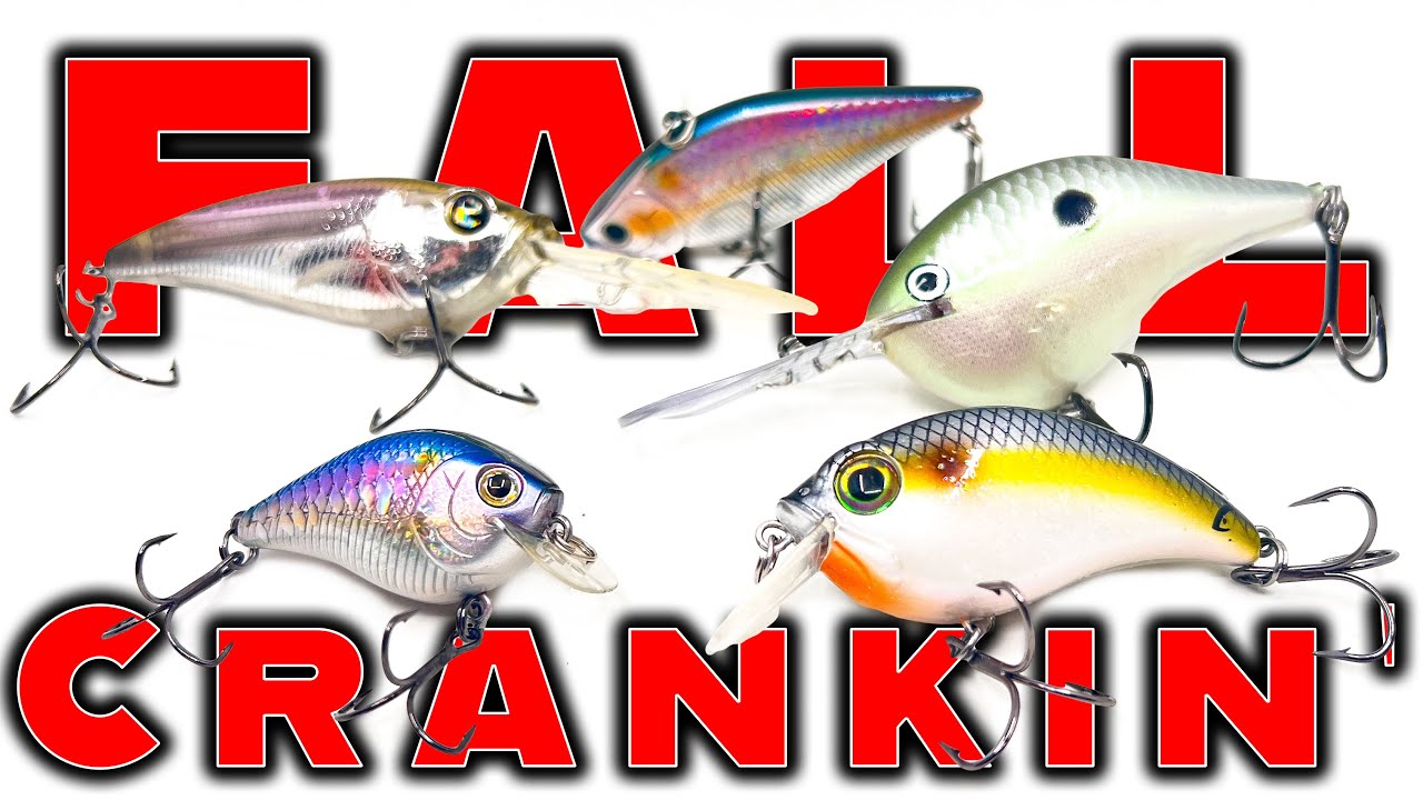 Lipless Crankbait Buyer's Guide - Best Baits For The Price — Tactical  Bassin' - Bass Fishing Blog