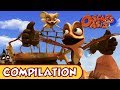 Oscar's Oasis - JANUARY COMPILATION [ 25 MINUTES ]
