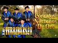 Los Terribles Del Norte – Grandes Éxitos Norteños 🤠 20 Clásicos