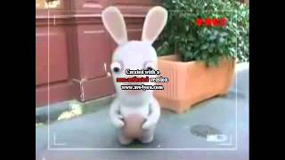 Rabbids Daaaaaaaaaaaaaaaa