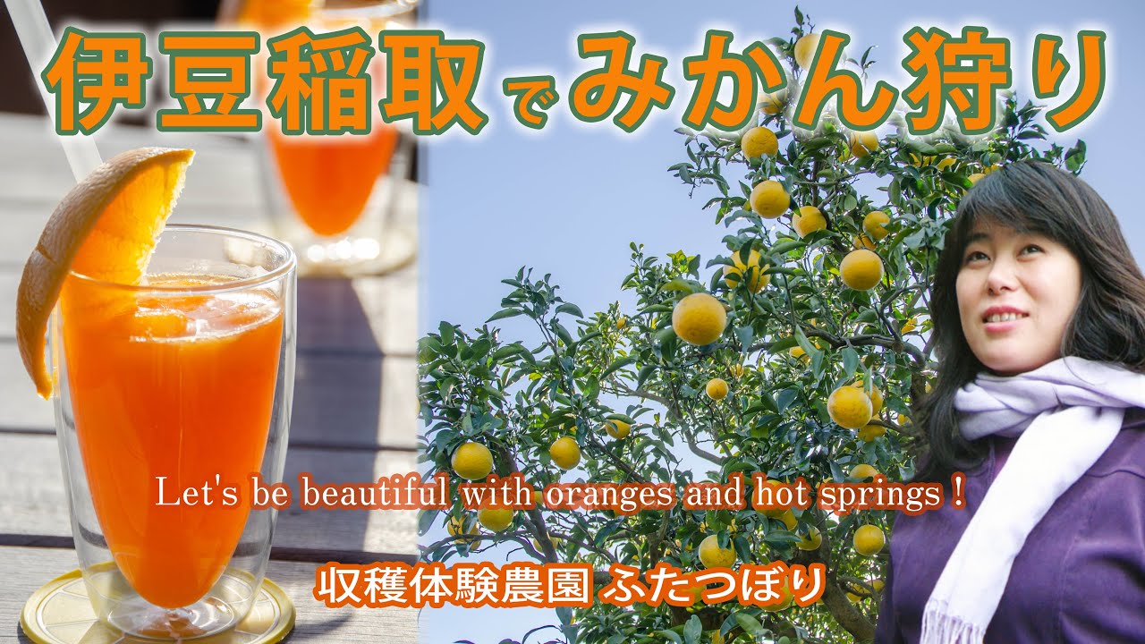 Diy ヒノキで机を作ろう 東伊豆 国道135号沿いの遠藤材木店さん 楽しすぎ Youtube