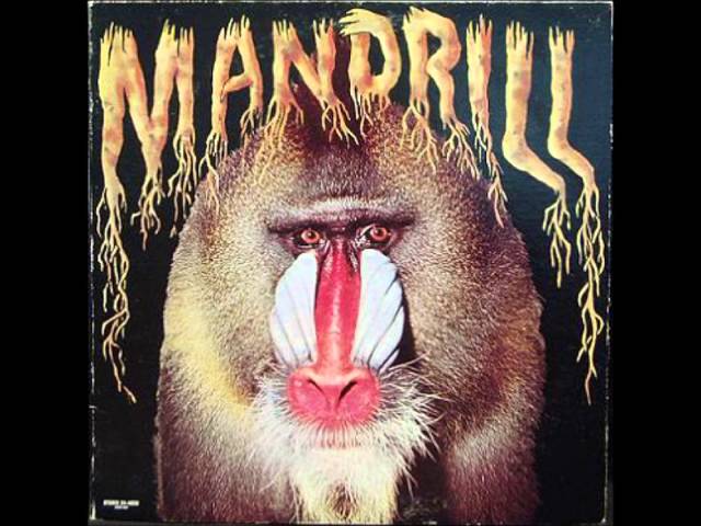 Mandrill Energize マンドリル Amazon.com: Energize : Mandrill: Digital Music