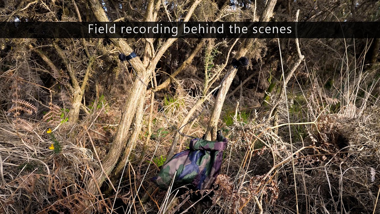 Field recording behind the scenes 11 - Collecting a drop rig in Exmoor NP