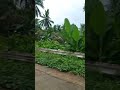Traveling To Tabon Tabon Leyte Traveling To Tabon Tabon Leyte