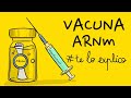 Vacuna covid19 arnm  teloexplico