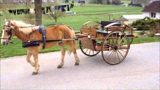 Our New Custom Cob Size Meadow Brook Deluxe 3 Seats This cart has everything its loaded, 48" Flush Hub Wheels with Flat 