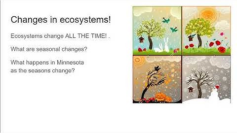Week 2 Video 2: Changes in Ecosystems