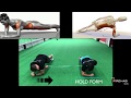 Partner Core Workout Series - Partner Plank Variations