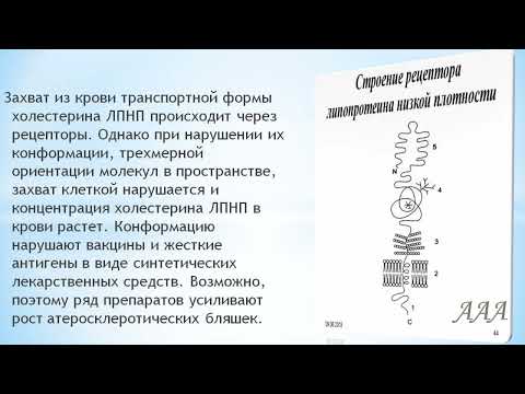 Фитотерапия атеросклероза. А.Алифанов.