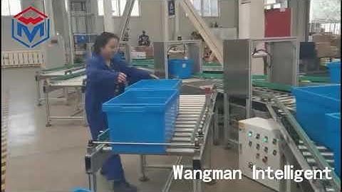 Intelligent Sorting Conveyor System Projects