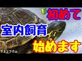 【亀の水槽】亀の飼育環境 冬眠やめて室内越冬 ウンキュウ編