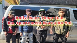 Polisia Kaer Timor Oan Iha Apartement Korea Do Sul || Sei Deportasi Ba Timor 🇹🇱