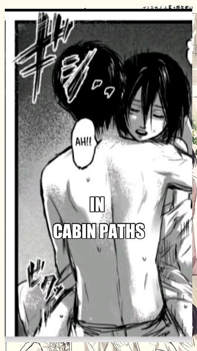 THE SECRET OF EREN AND MIKASA