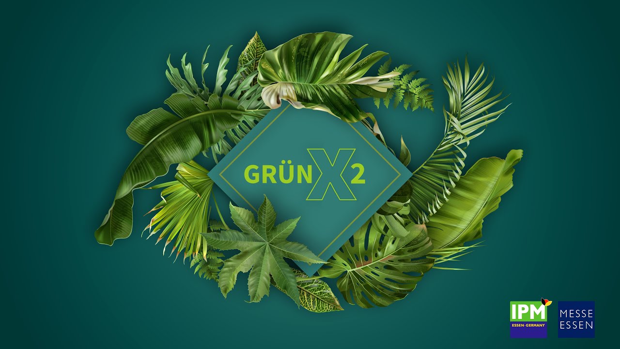 GRÜN X2 - der Talk by IPM ESSEN mit Martina Mensing-Meckelburg und Iris Blotz