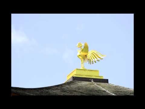 童話読み聞かせ 金の鳥