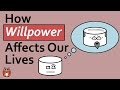 The Marshmallow Test - How Willpower Affects Our Lives
