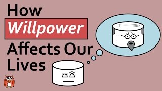 The Marshmallow Test - How Willpower Affects Our Lives